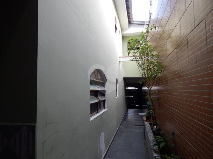 Foto REO319468