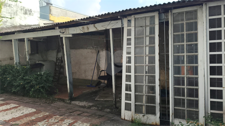 Foto REO319504