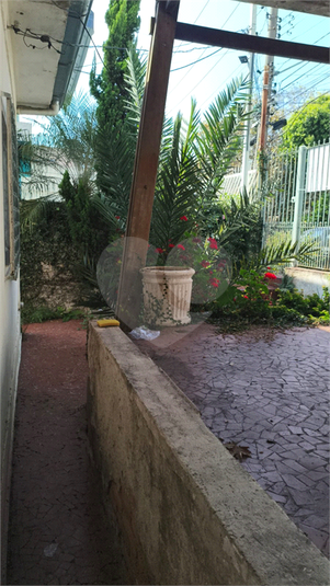 Foto REO319504