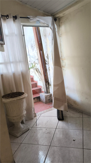 Foto REO319504