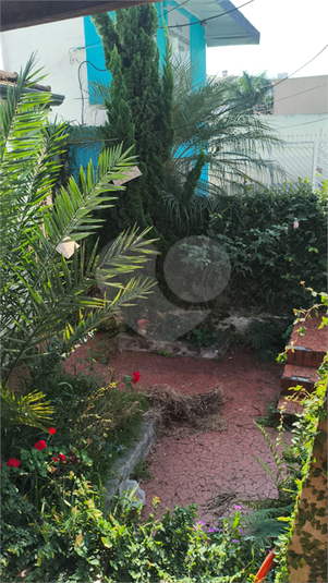 Foto REO319504