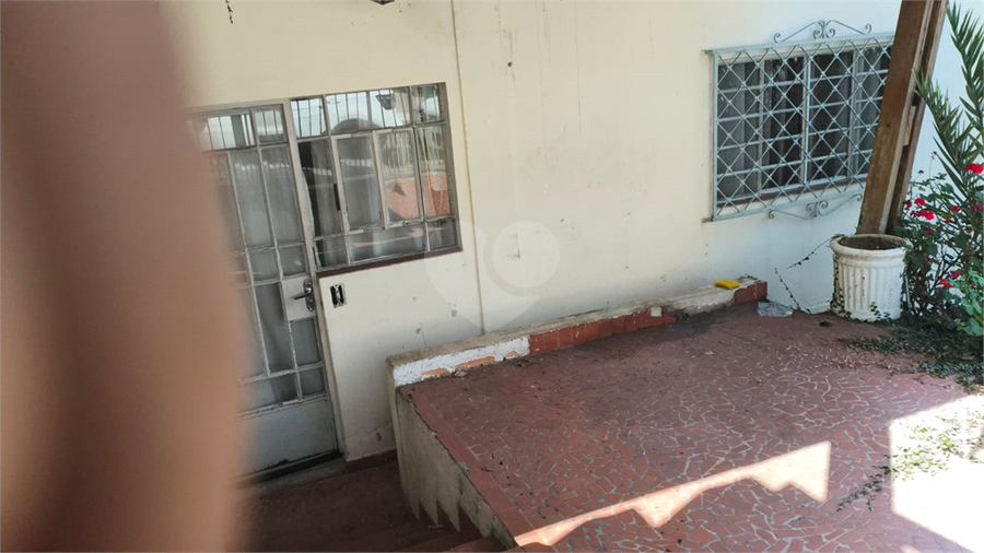 Foto REO319504
