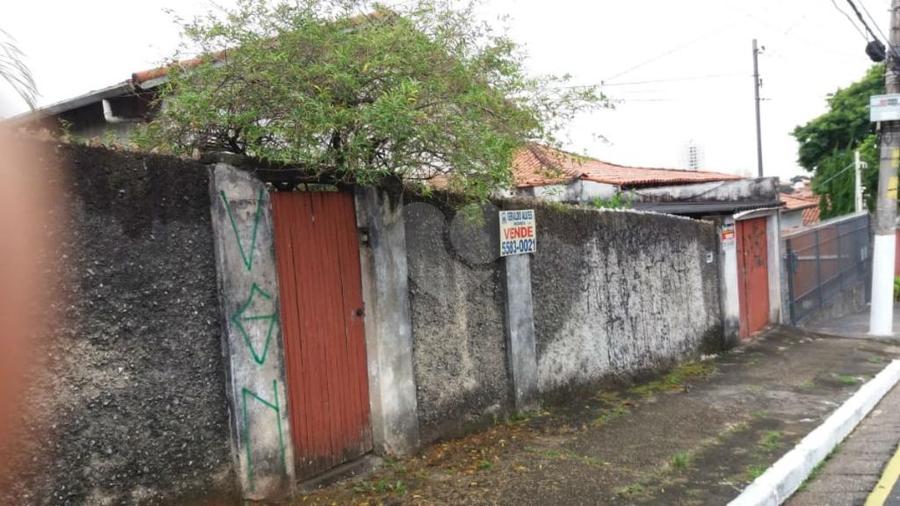 Foto REO319759