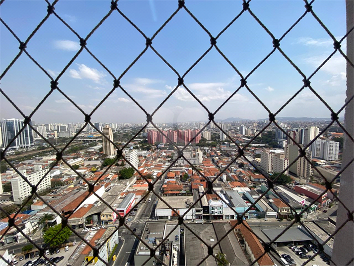 Foto REO320580