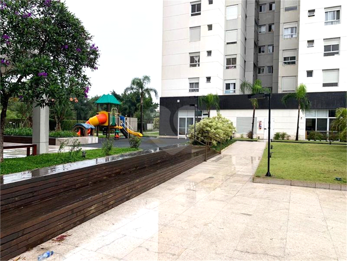 Aluguel Apartamento São Paulo Vila Anastácio REO321255 50