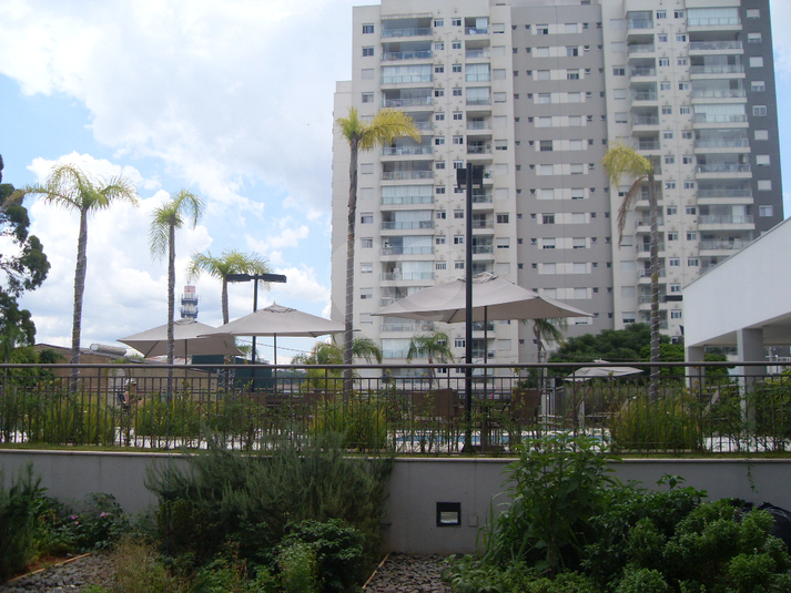 Aluguel Apartamento São Paulo Vila Anastácio REO321255 70