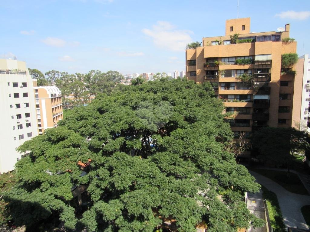 Venda Apartamento São Paulo Vila Progredior REO321331 5