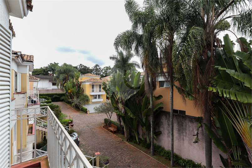 Foto REO321726