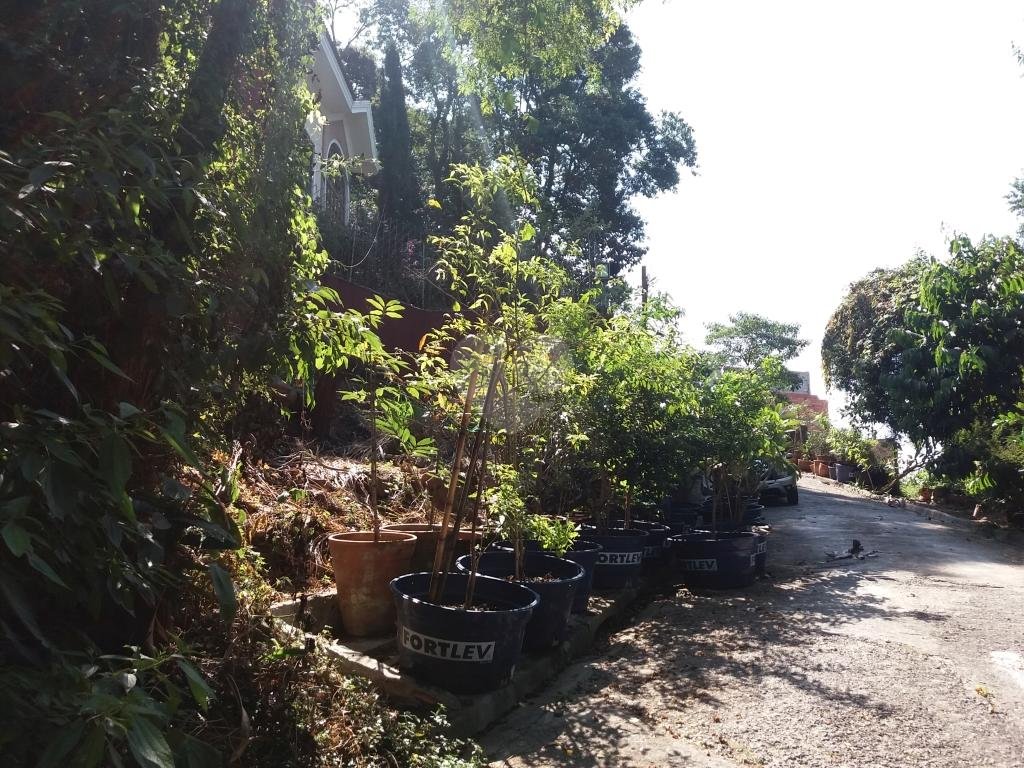 Foto REO321802