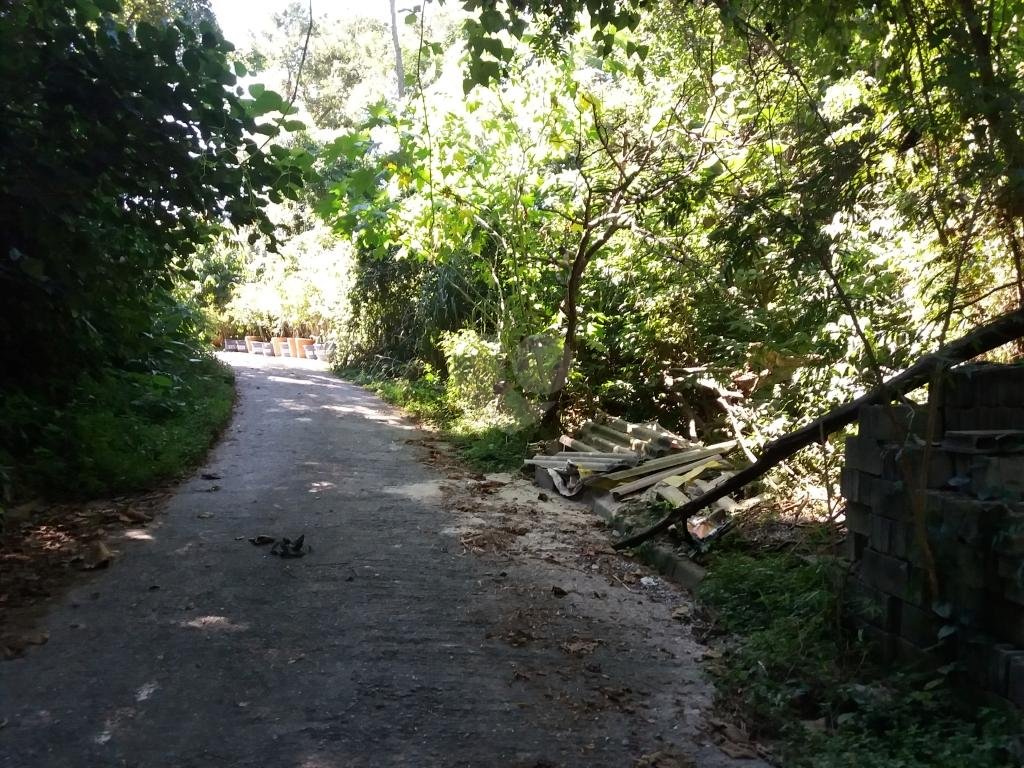 Venda Terreno São Paulo Tucuruvi REO321802 5