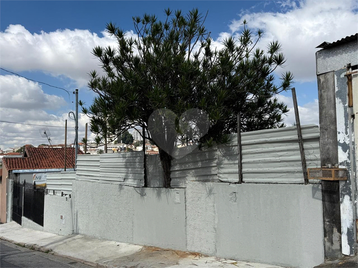 Foto REO322539