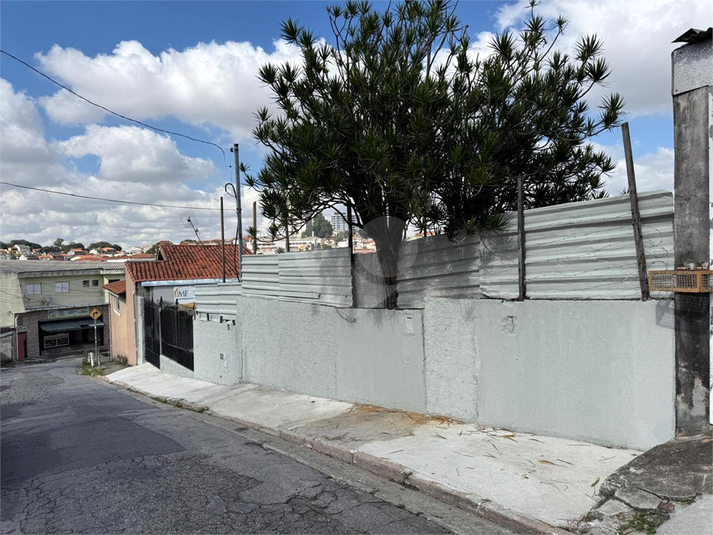Foto REO322539