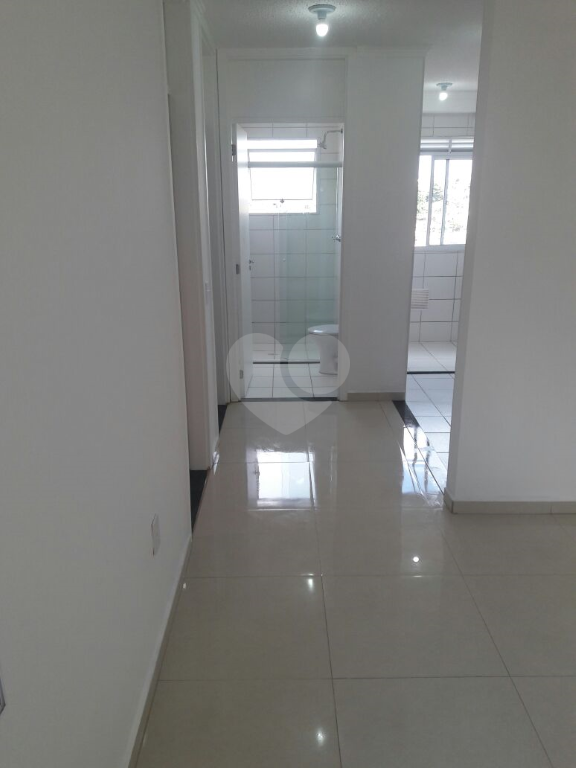 Venda Apartamento Campinas Jardim Stella REO323240 1