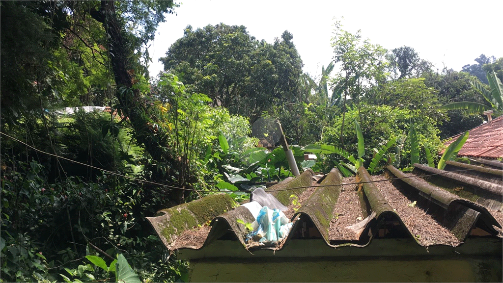 Venda Terreno São Paulo Horto Florestal REO323484 21