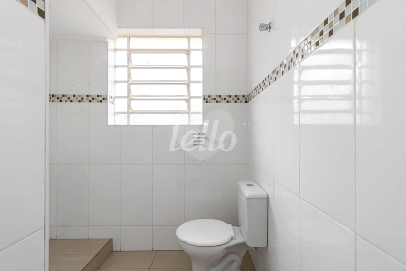 Foto REO324182
