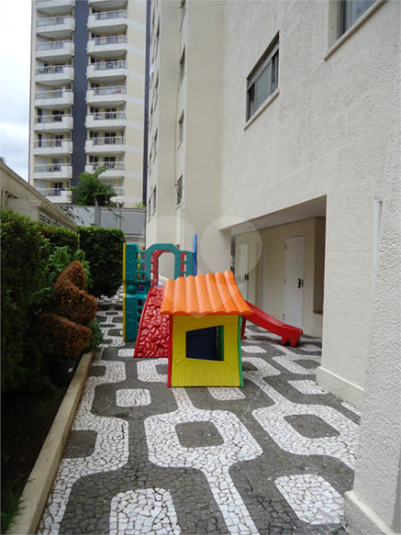 Foto REO325082