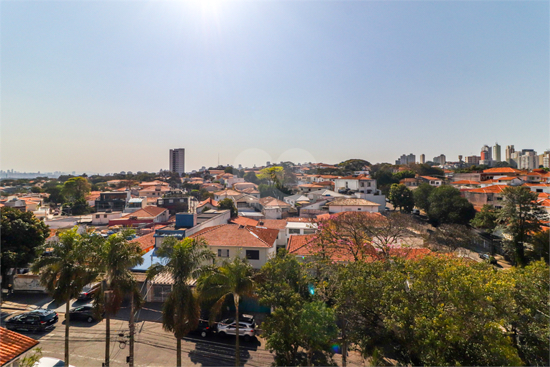 Foto REO325840