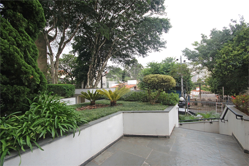 Foto REO325840