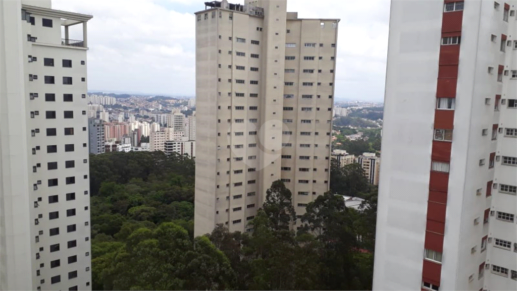 Venda Apartamento São Paulo Morumbi REO326295 63