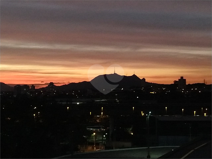 Foto REO326616