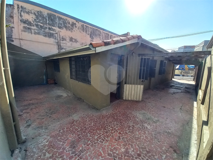 Foto REO326765