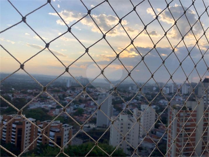 Foto REO326791