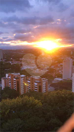 Foto REO326791