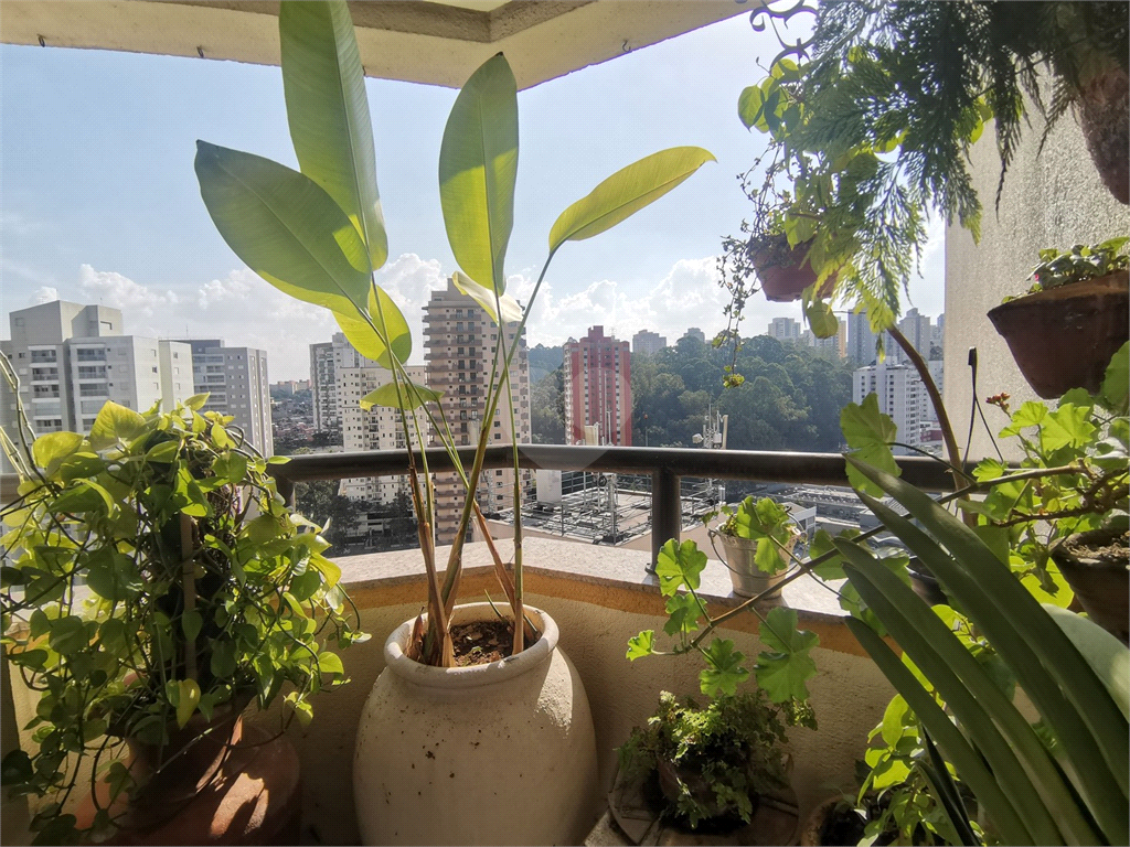 Venda Apartamento São Paulo Vila Andrade REO32689 43