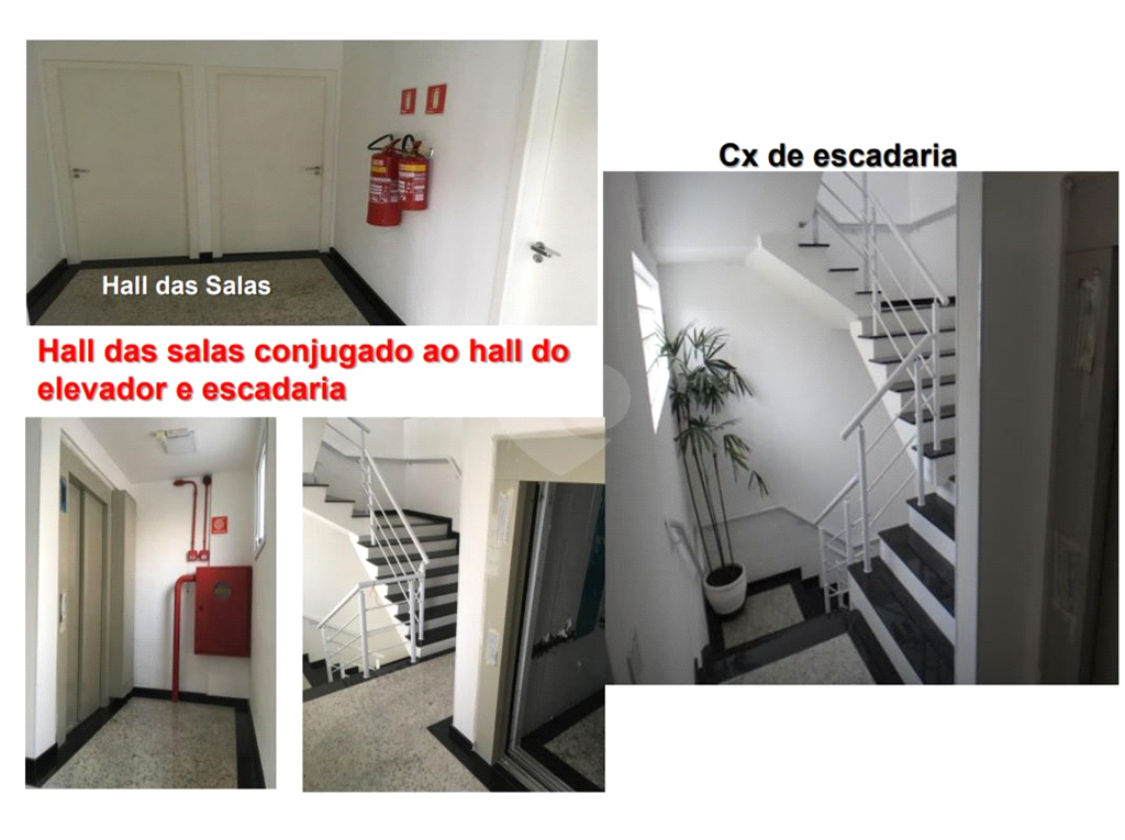 Aluguel Prédio inteiro São Paulo Jardim Vazani REO327374 28