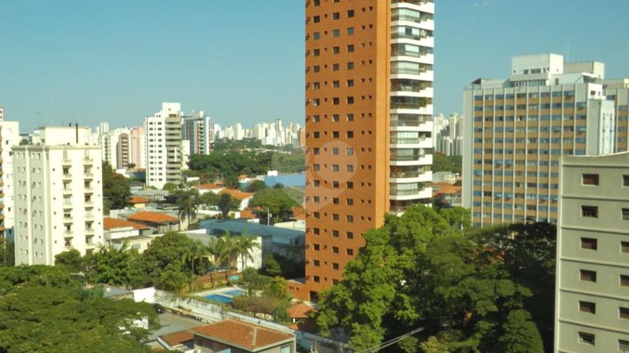 Foto REO327533