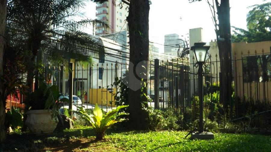 Foto REO327533