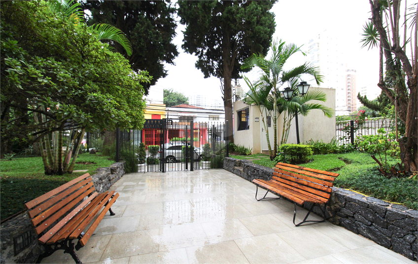 Foto REO327533