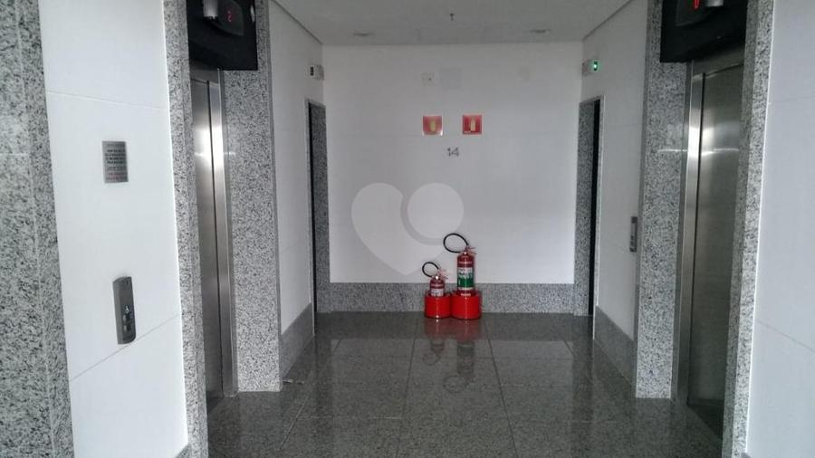 Foto REO327541