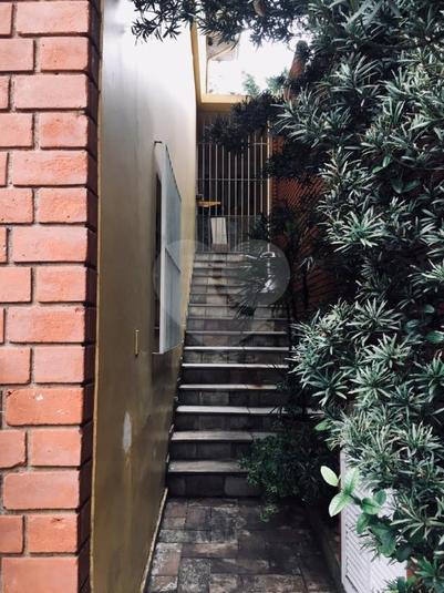 Foto REO327829
