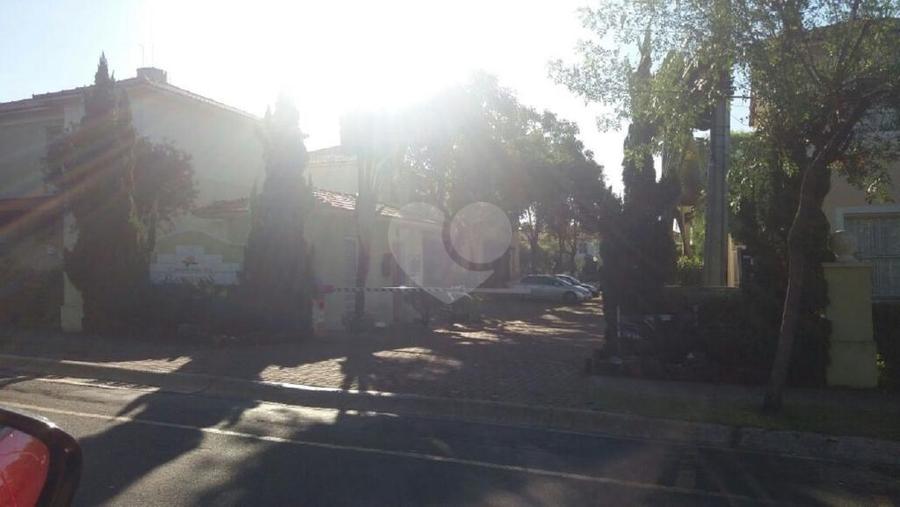 Foto REO328358