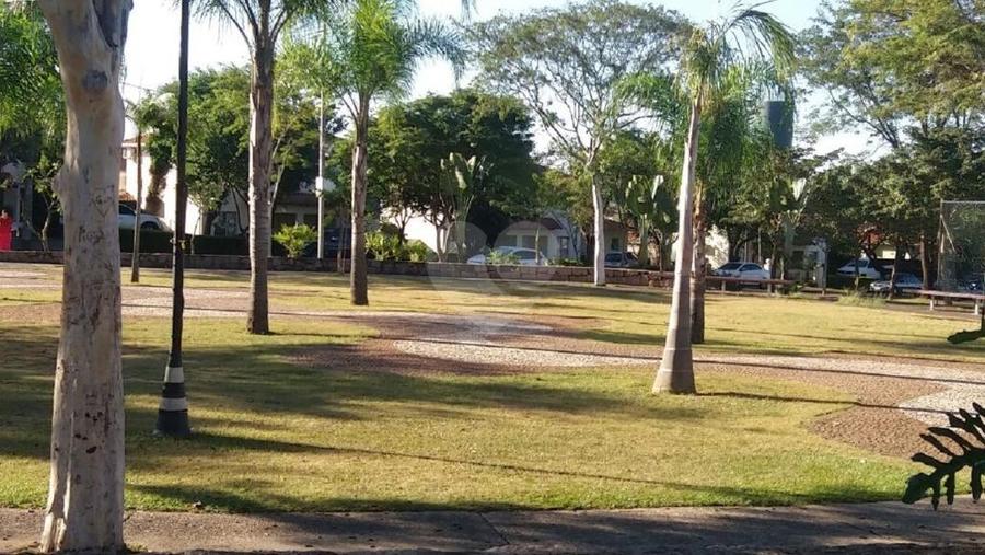 Foto REO328358