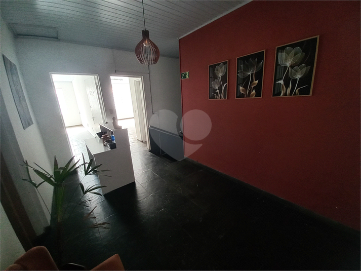 Foto REO328548