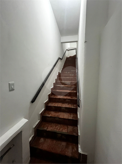 Foto REO328589