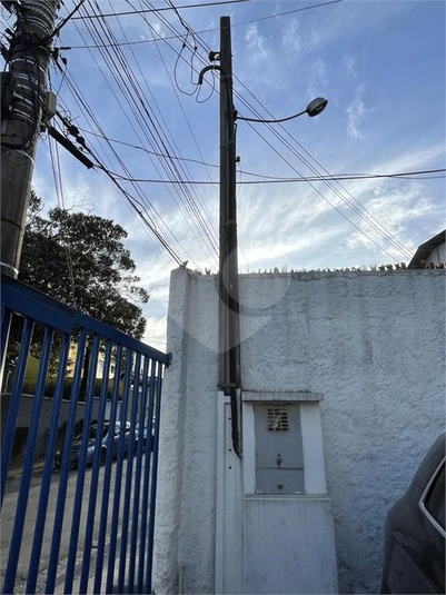 Foto REO328867