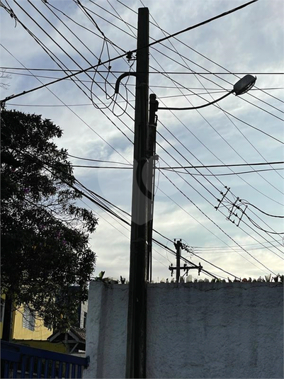 Foto REO328867