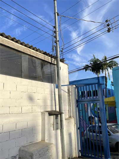 Foto REO328867