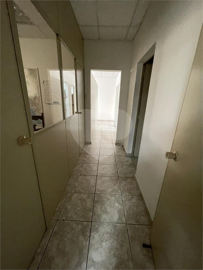 Foto REO328867