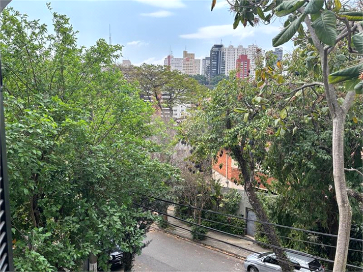 Foto REO328876