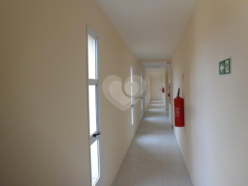 Aluguel Apartamento São Paulo Rio Pequeno REO329146 28