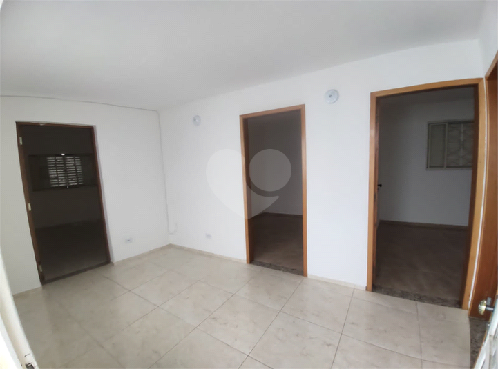 Foto REO329269
