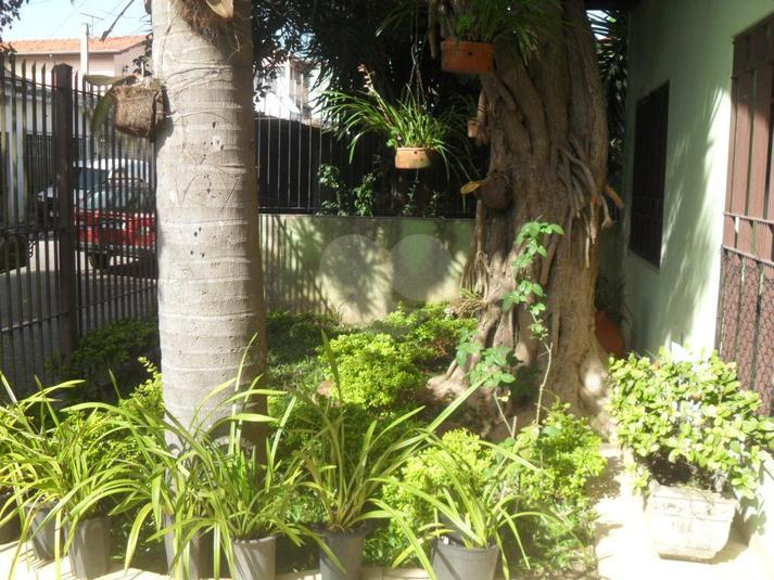 Venda Casa São Paulo Cupecê REO329502 46