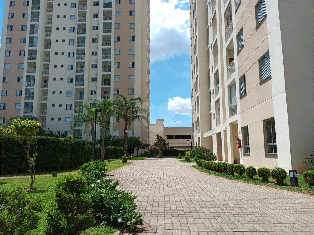 Aluguel Apartamento São Paulo Água Branca REO329564 53