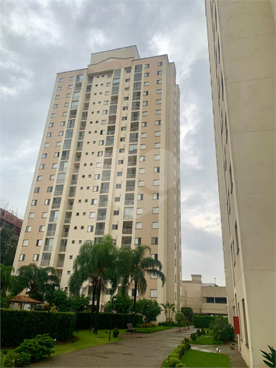Foto REO329564