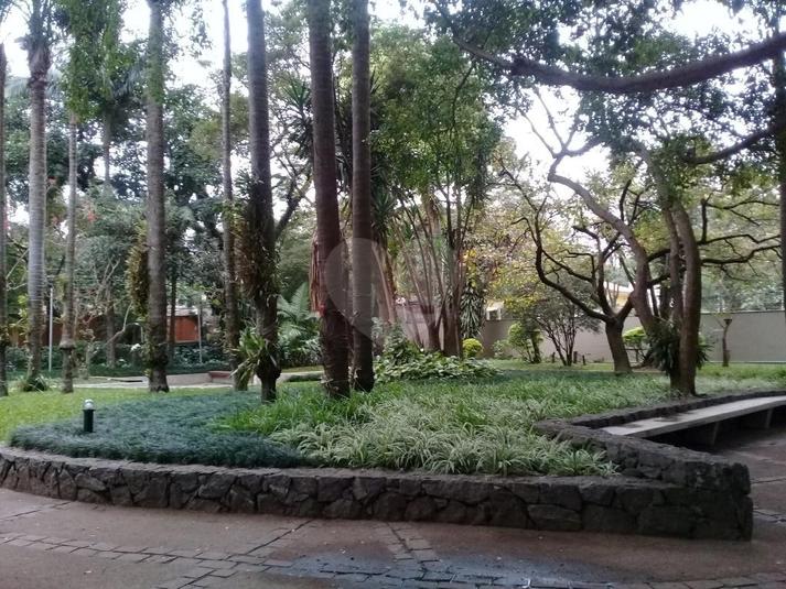 Foto REO329650