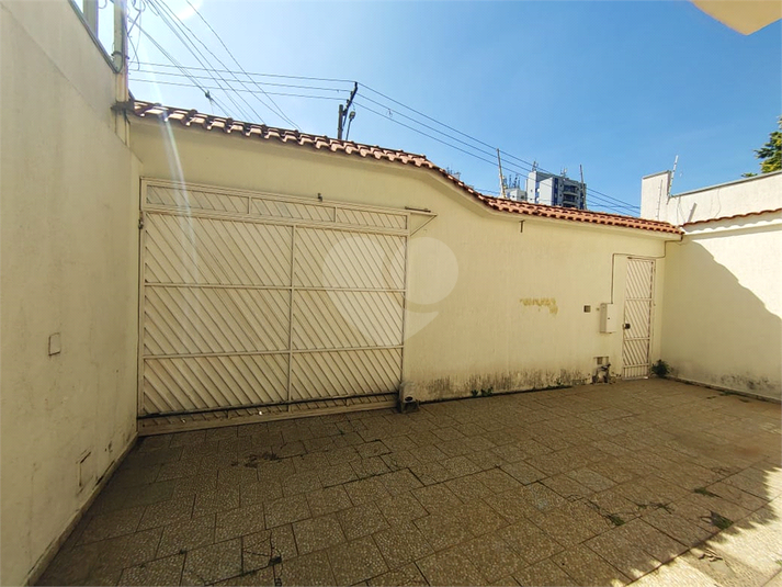 Foto REO330061
